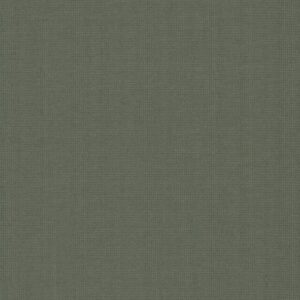 GV0261
