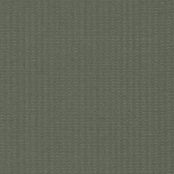 GV0261