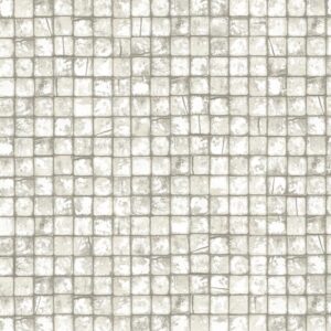 DL26755