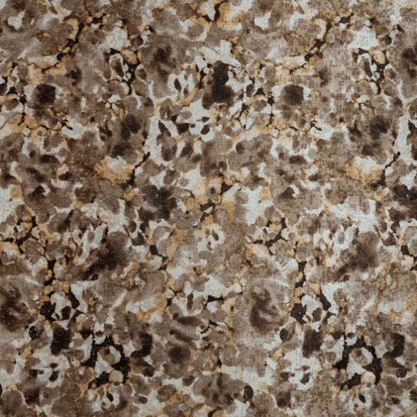 019